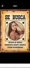 DAMA DE COMPAÑIA /AGENCIA DE PREPAGOS (QUITO) SPA MASAJES EROTICOS